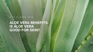 Aloe vera benefits: Is aloe vera good for skin?