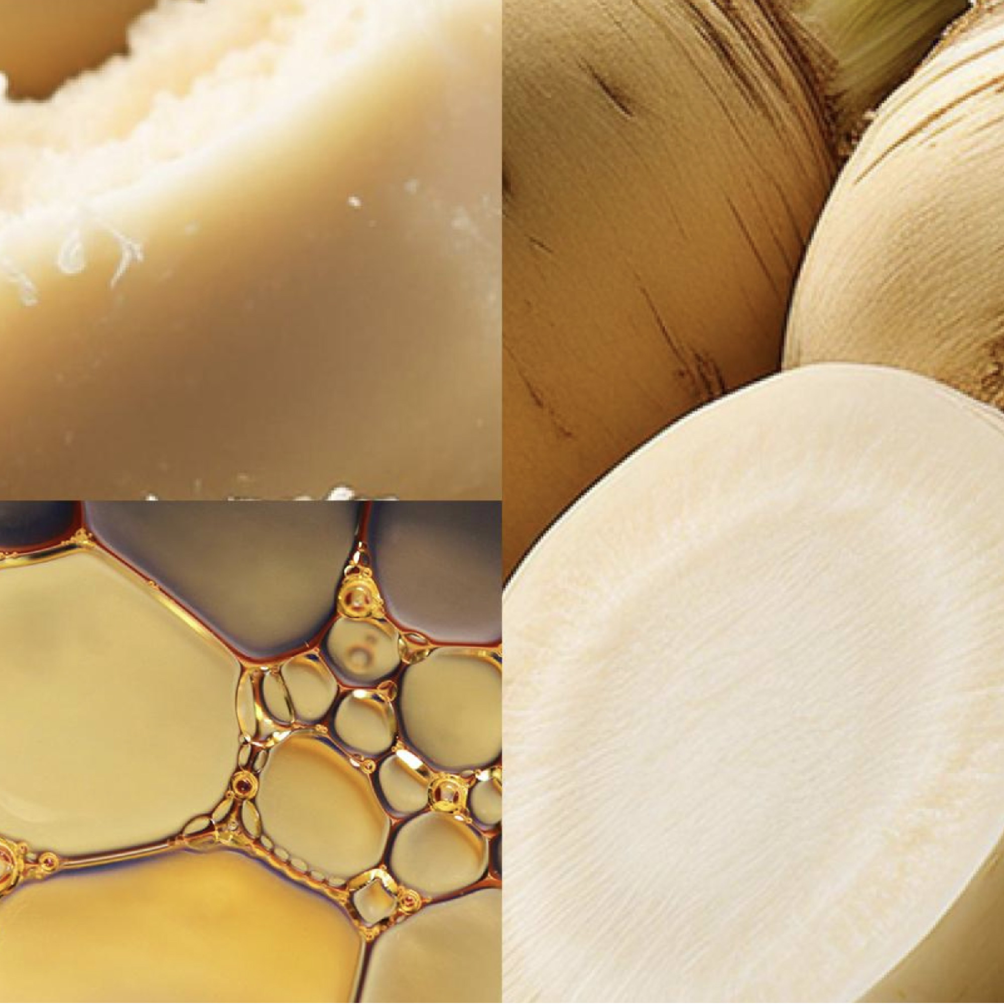 Aloe and Squalane ingredients