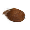 Display Coconut