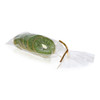 Set of 5 Fake Kiwi Slices in Bag