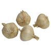 Fake Soft-Neck Garlic in 4 pack
