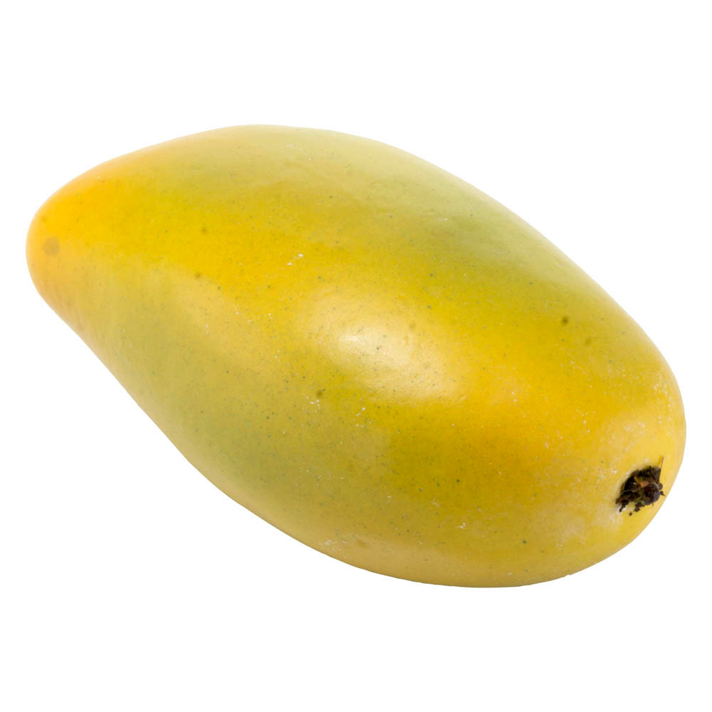 Talea Di Mango Francis – 3 Pezzi Freschi, Da Piantare - Foto 1