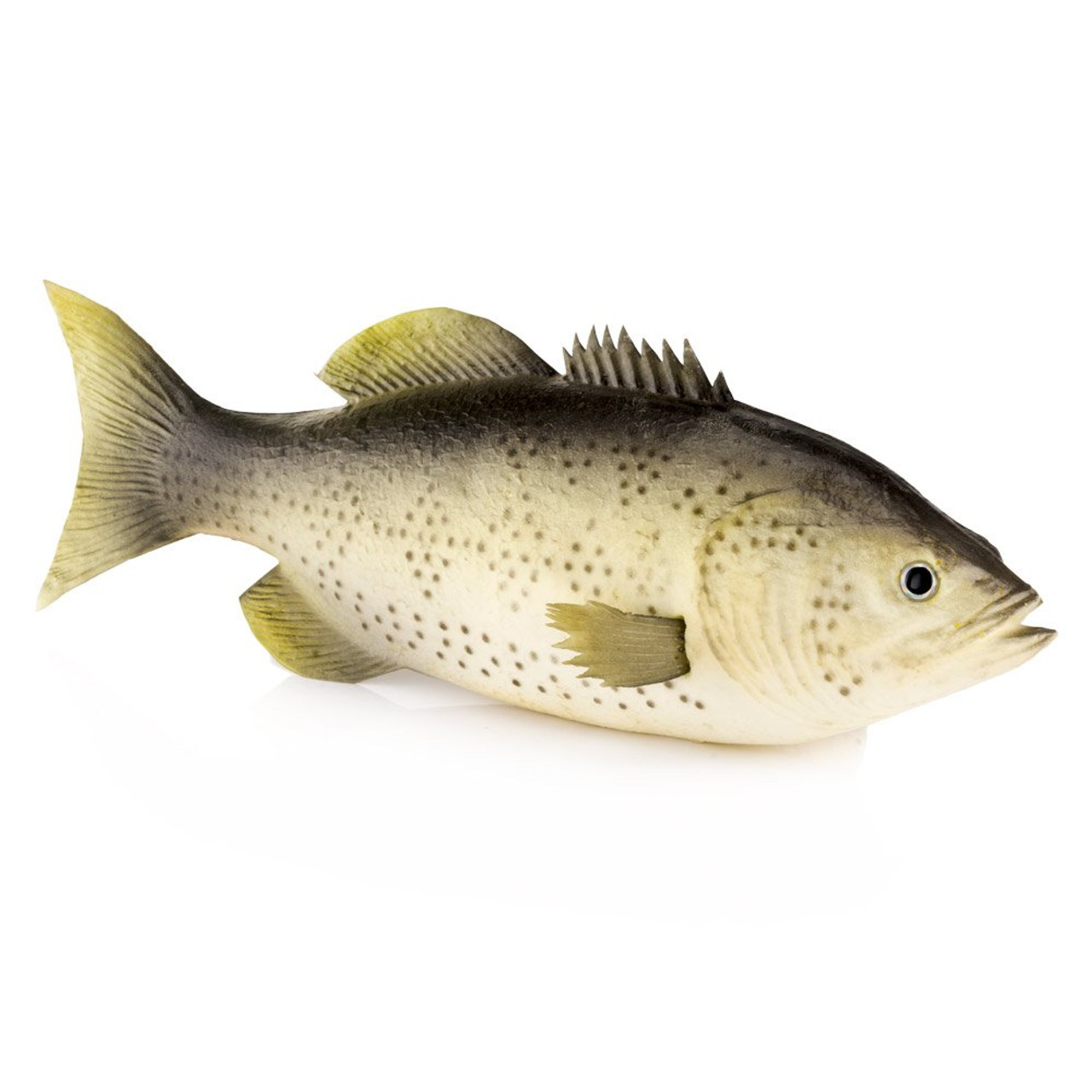 Fake Speckled Bass Fish