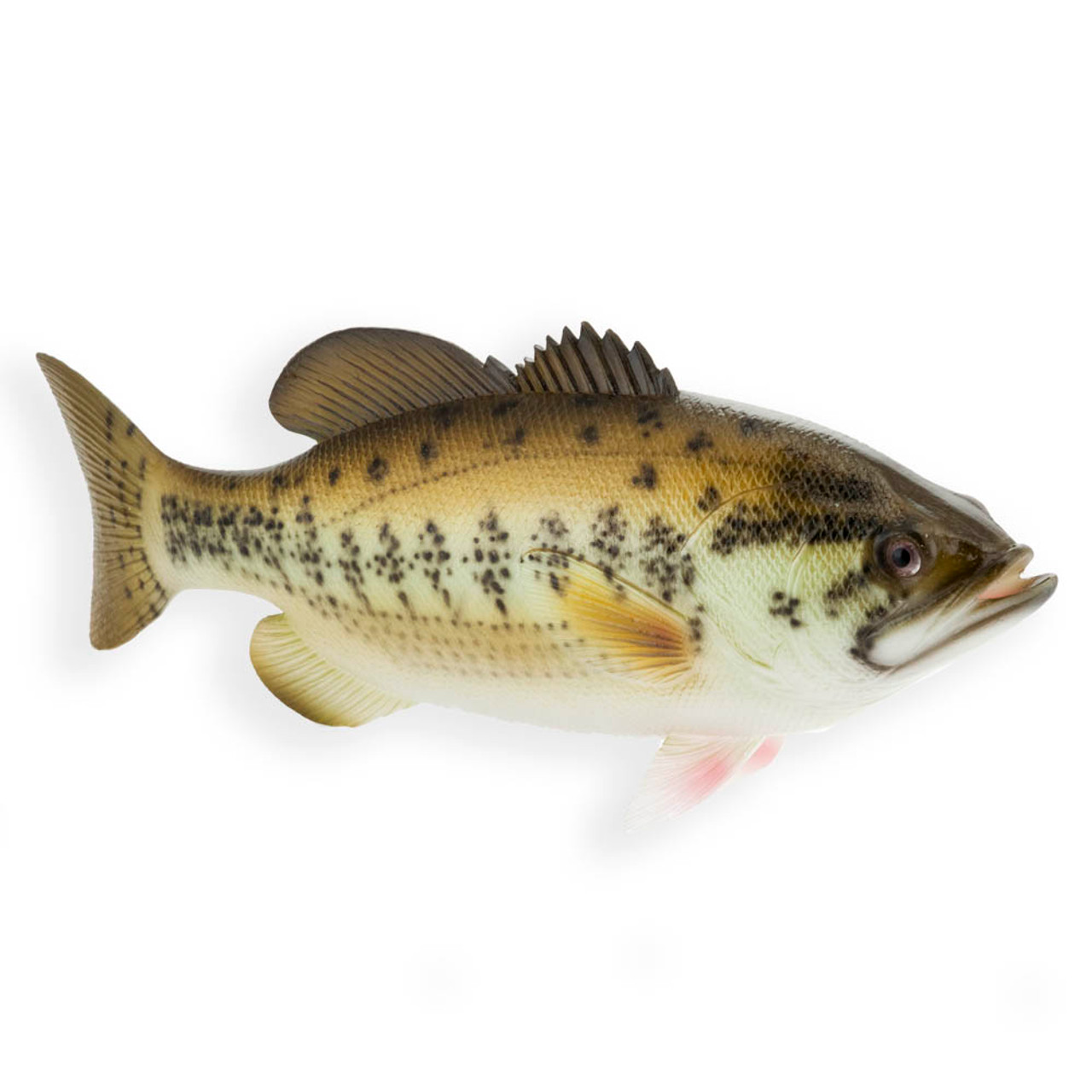 Fake Speckled Bass Fish