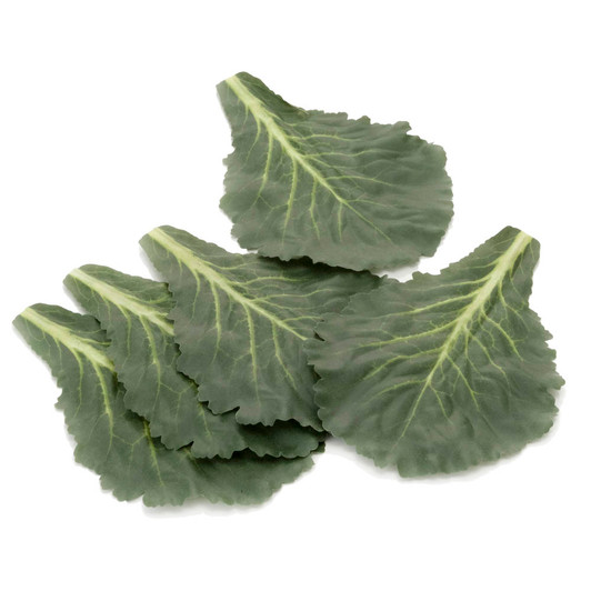 Fake Dark Green Leafs (Set of 5)