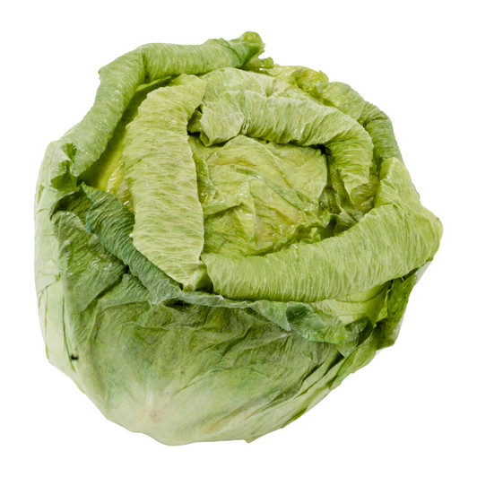 Fake Lettuce Head Small
