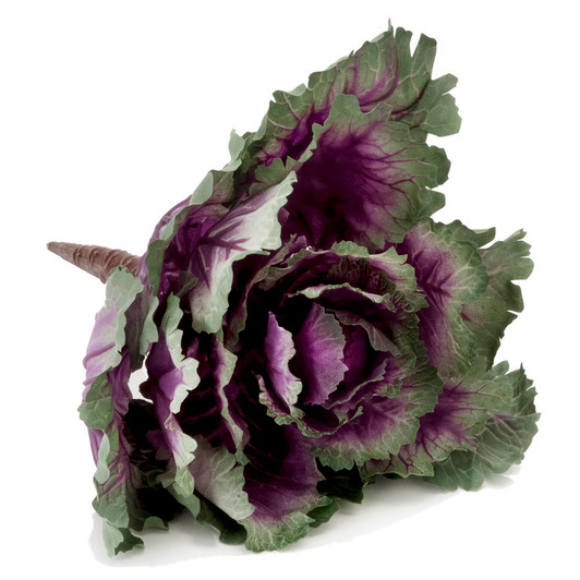 Wombok Purple Green Cabbage
