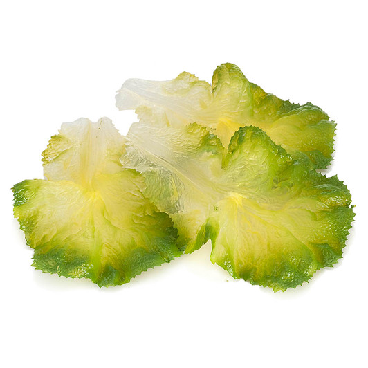 Lettuce Leaf - Green - 3 Pk