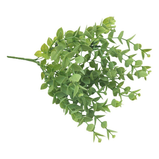 Silver Dollar Eucalyptus Stem