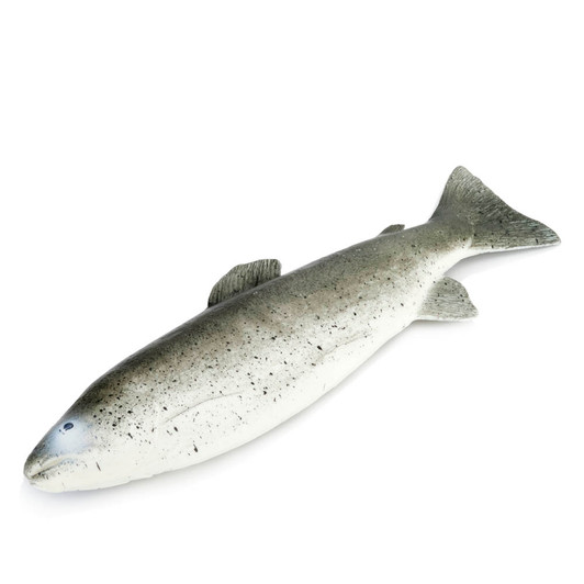Fake Trout Fish