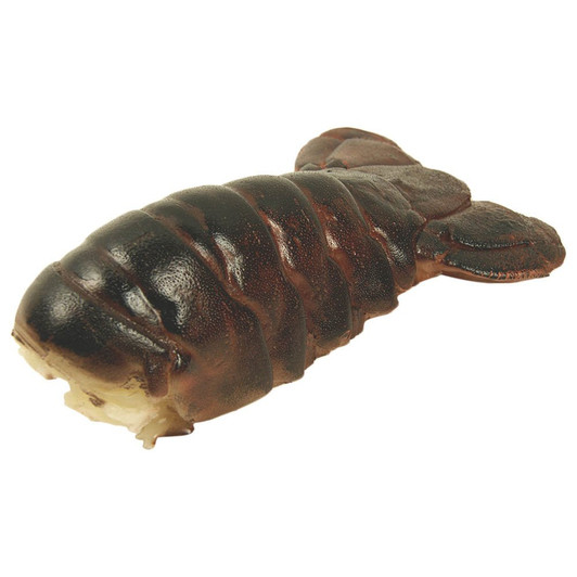 Large Cold Water Lobster Tail