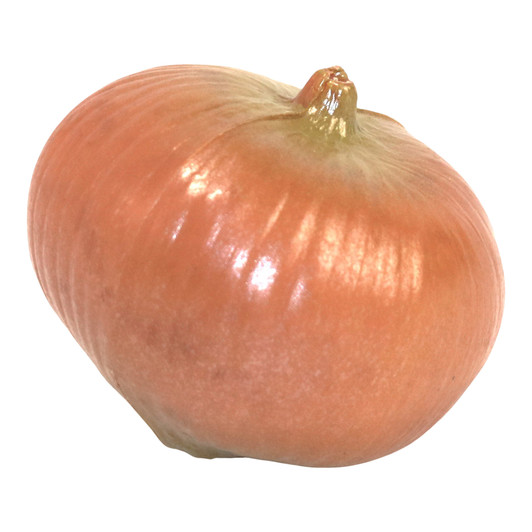 Play Brown Onion