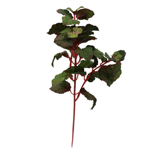 Fake Mint Stem