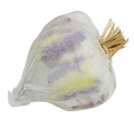 Fake Single Garlic