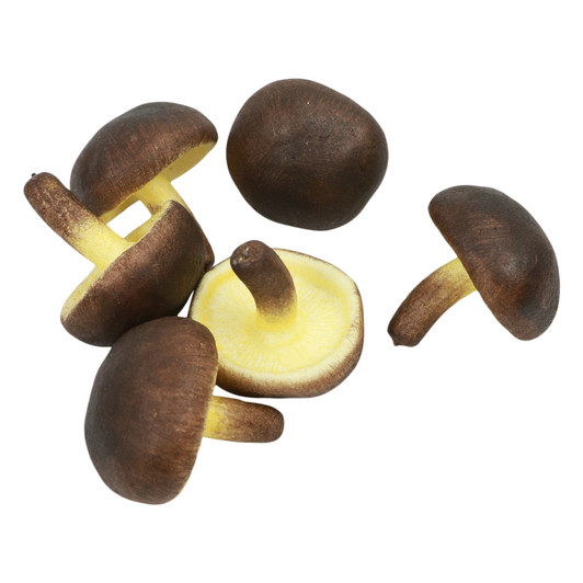 Display Shiitake Mushrooms