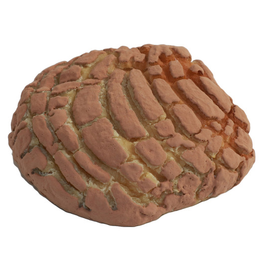 Large Chocolate Concha - Mexican Sweet Bread