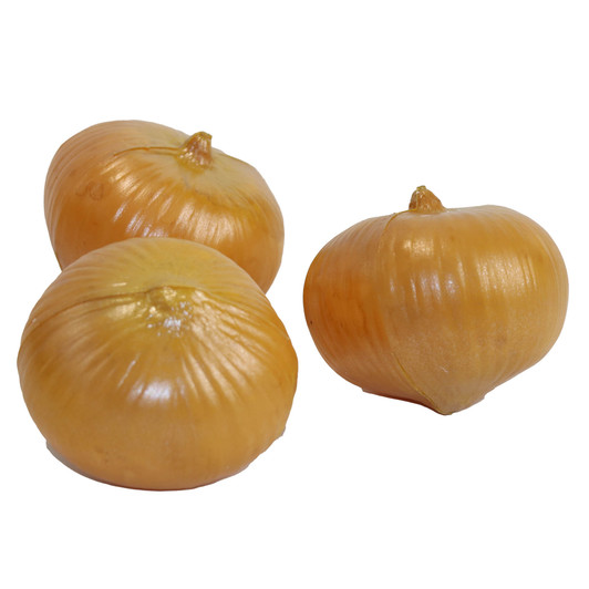 Play Fake Brown Onions