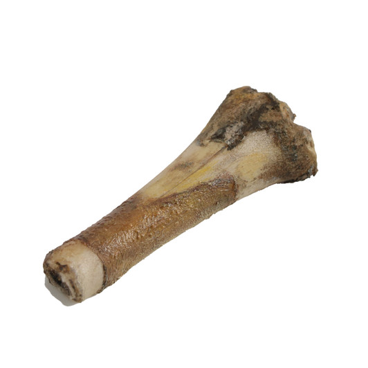 Display Shank Bone for Passover Seder Plate