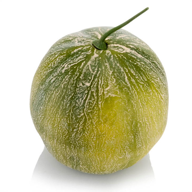 Galia Cantaloupe Melon