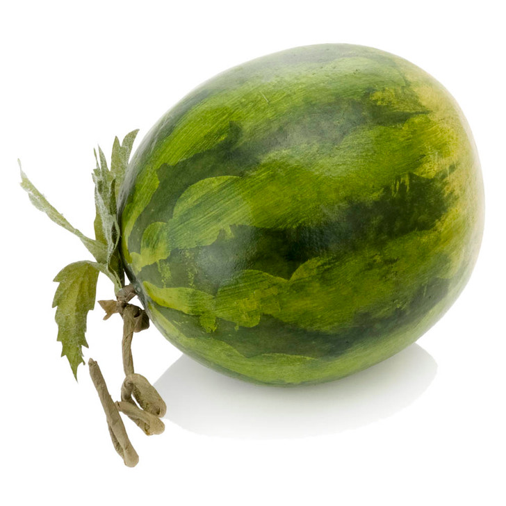 Watermelon with Leaf