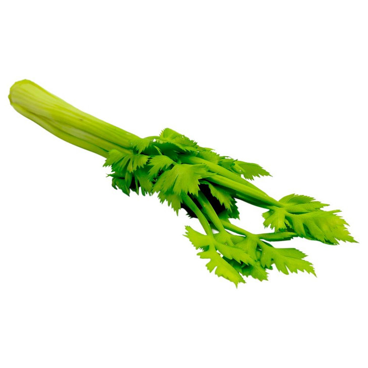 Pascal Celery