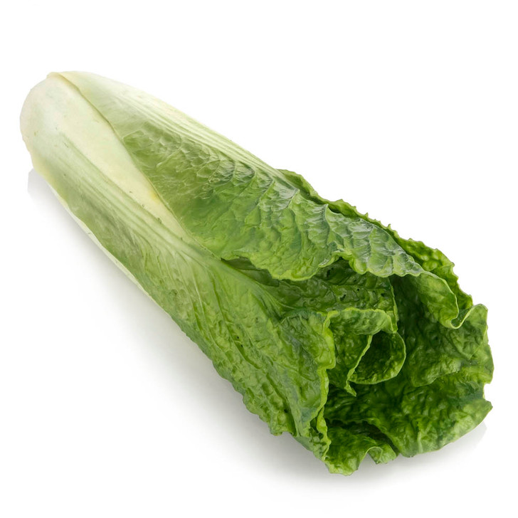 Lettuce - Green Leaf/romaine