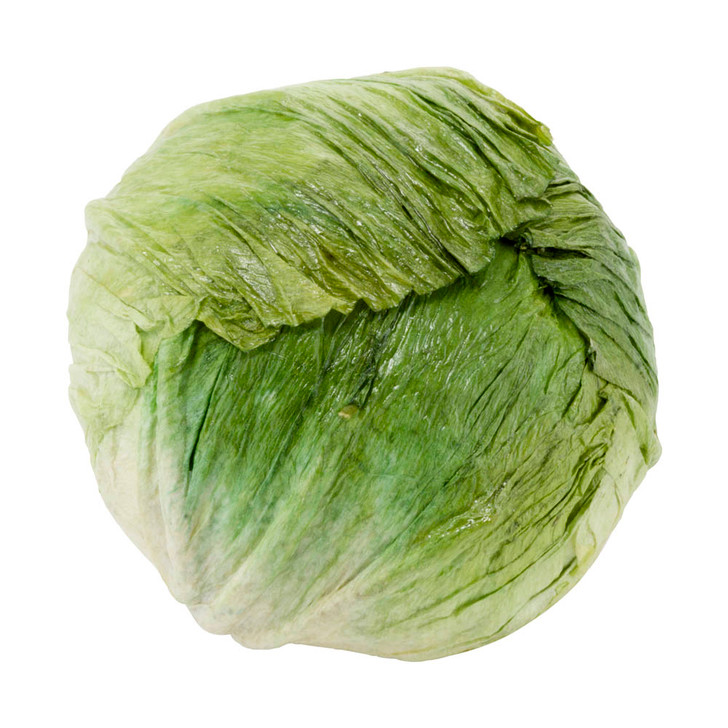 Fake Savoy Closed Green Cabbage Head