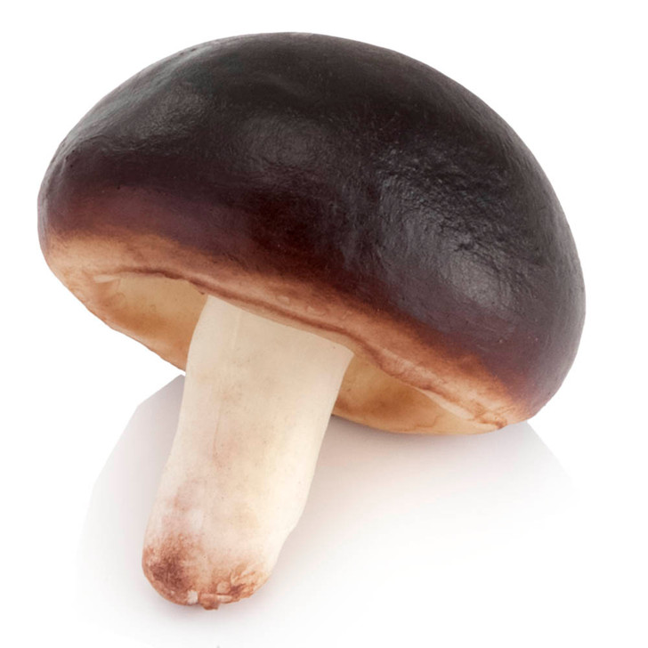 Explore Wholesale fake mushroom Options Available For You