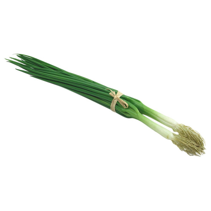 Long Green Onion Scallion Bunch