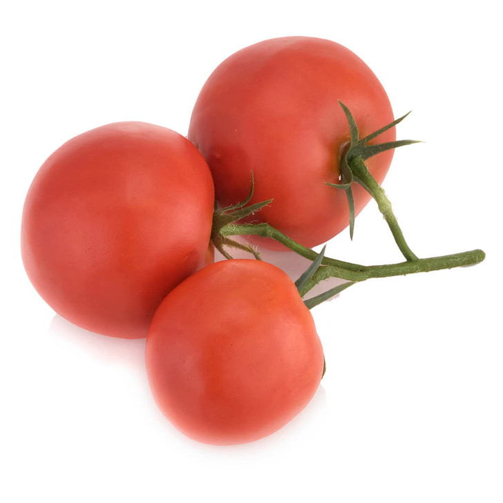 Fake Tomatoes on the Vine