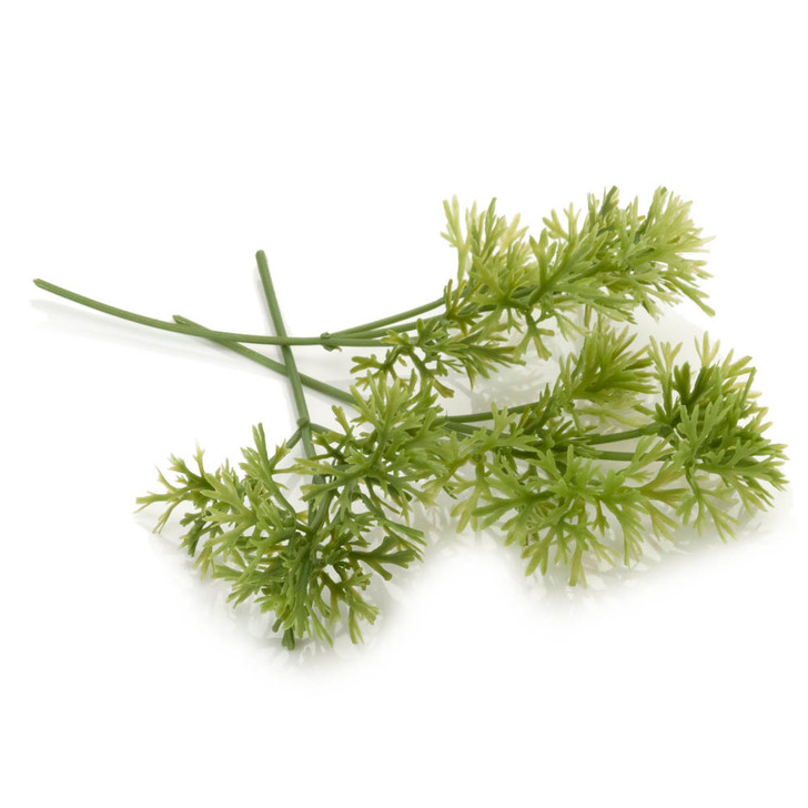 Parsley - 3 Pk