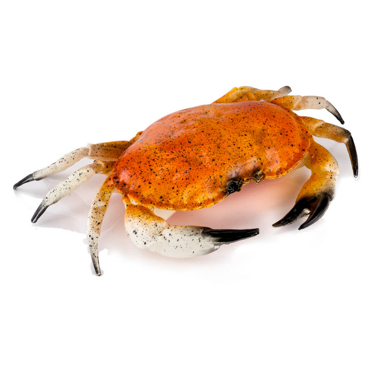 Crab - Dungeness - Jumbo