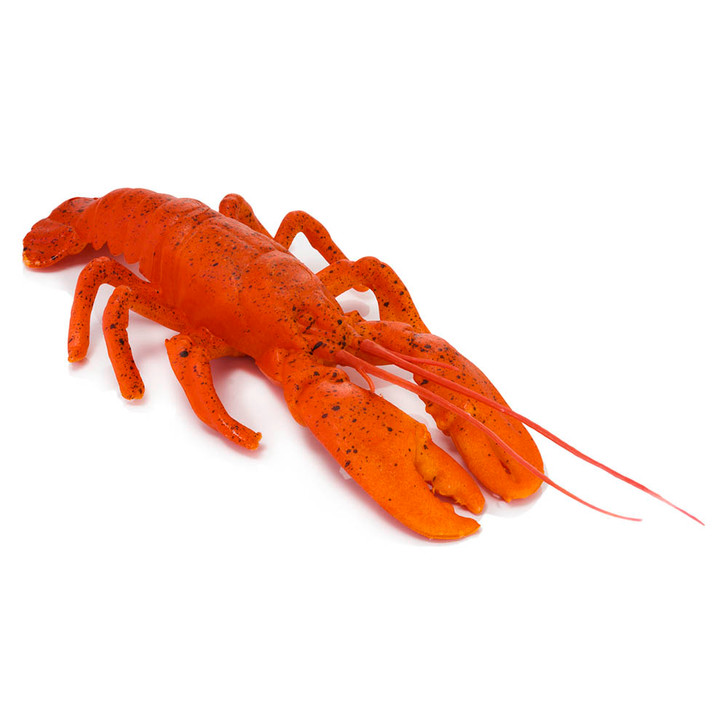 Lobster - Small