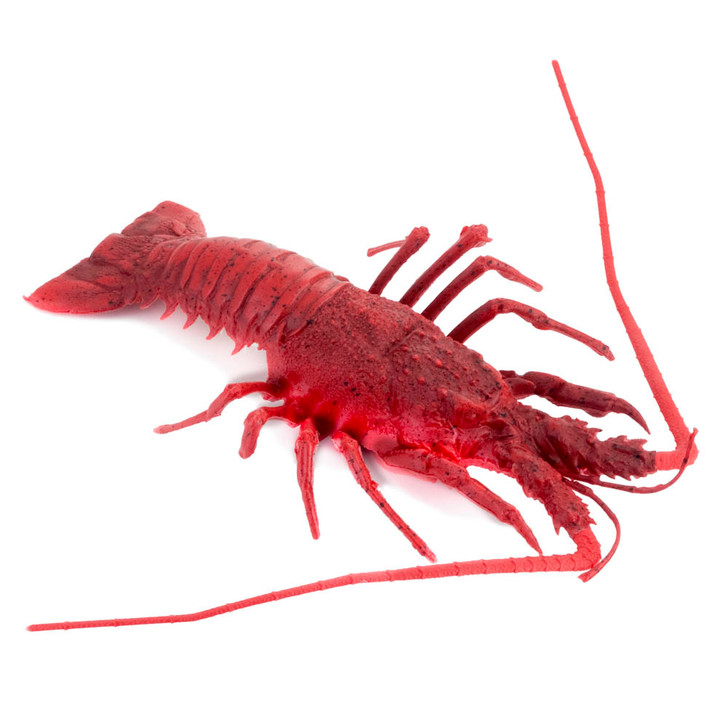 Lobster - Spinney
