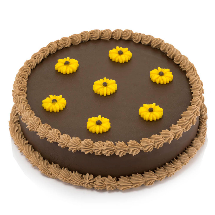 Cake - Chocolate Daisy