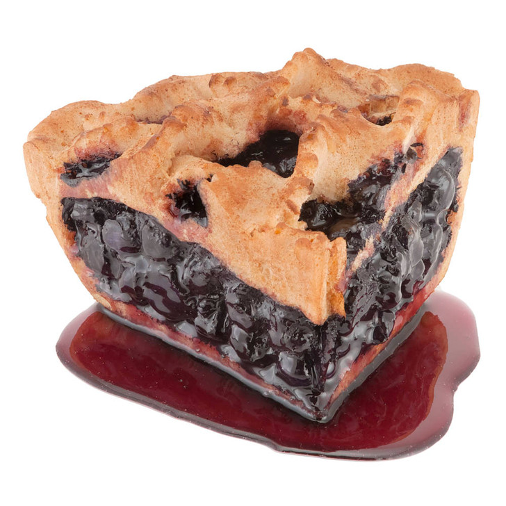 Crisscross Baked Blueberry Pie Slice