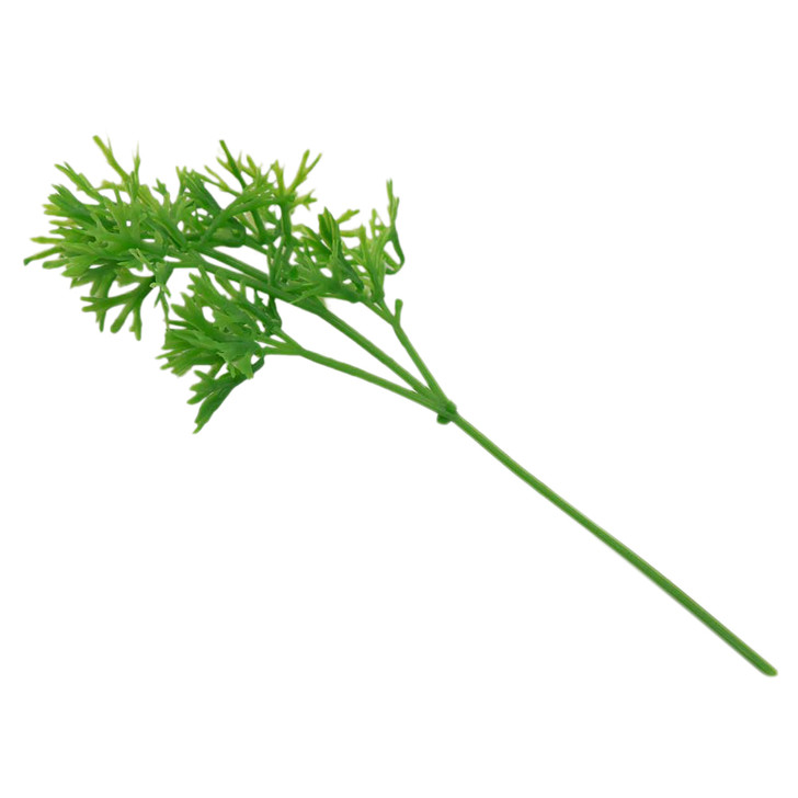 Parsley