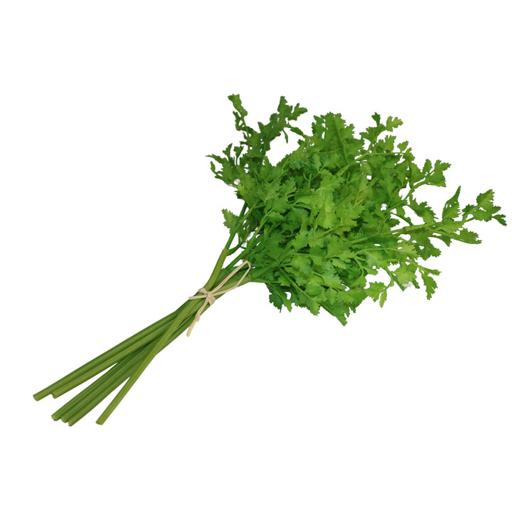 Fake Cilantro Bundle