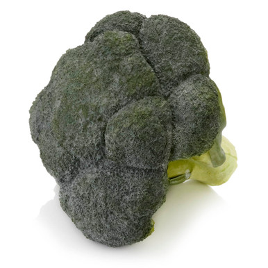 Fake Broccoli Fake Broccoli Head - Full