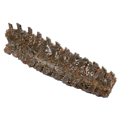 Fake Ribs With Sauce