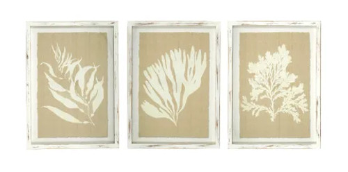 Natura Glass Frame Print - Natural Set of 3