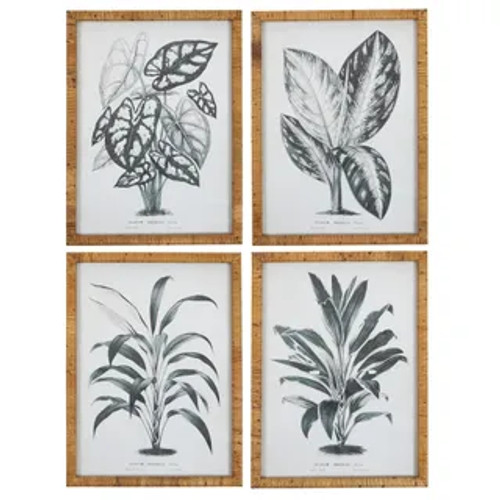 Feuille Glass Frame Print - Set of 4