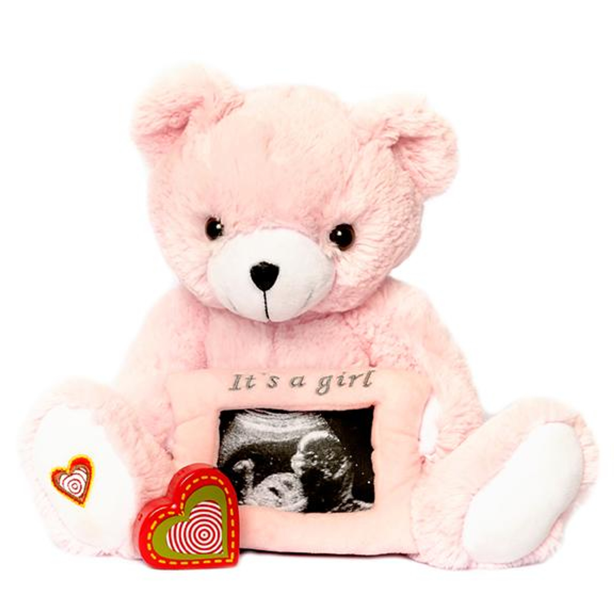 teddy bear with picture frame