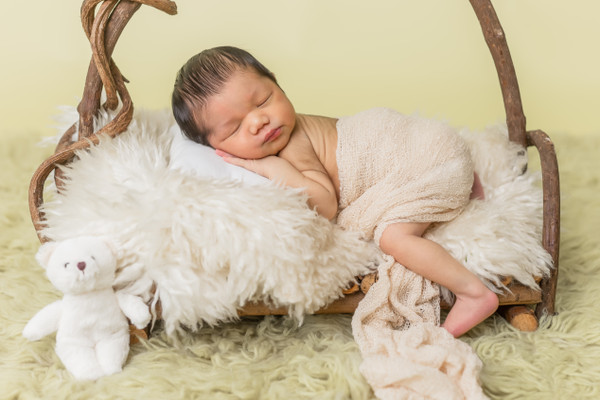 Newborn Photography Special