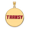 Sterling Silver Gold-plated LogoArt Transylvania University Extra Large Enameled Disc Pendant