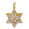 14k Yellow and White Gold Polished Reversible Filigree Star Of David Pendant