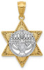 14k Yellow and White Gold Star Of David and Menorah Pendant