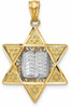 14k Yellow and White Gold Star Of David with Torah Pendant