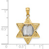 14k Yellow and White Gold Star Of David with Torah Pendant