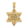 14k Yellow and White Gold Star Of David with Torah Pendant